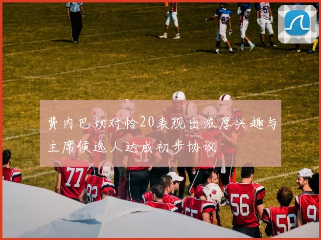 费内巴切对恰20表现出浓厚兴趣与主席候选人达成初步协议
